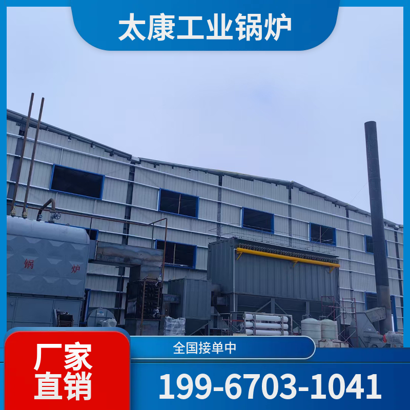 拉萨链条锅炉