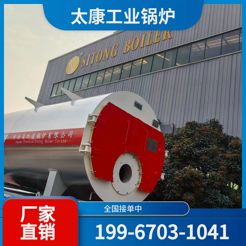 拉萨燃煤蒸汽锅炉