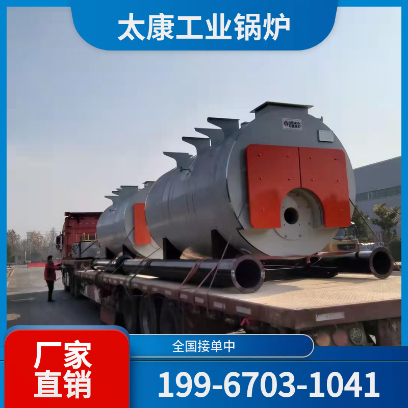 拉萨低氮锅炉